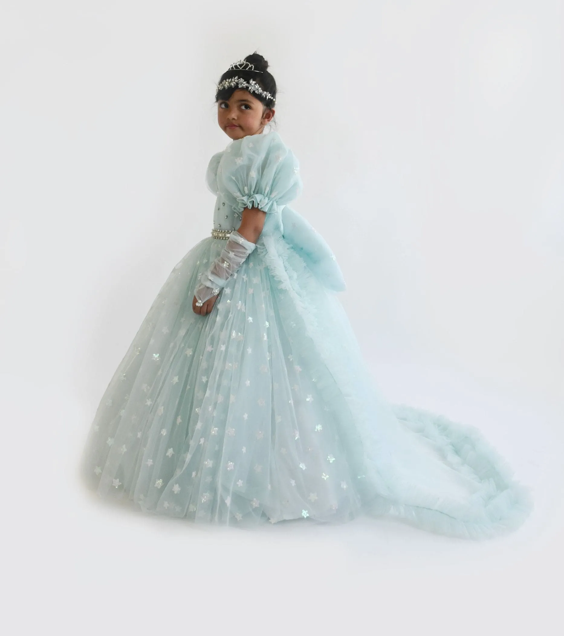 Pre Order: Blue Star Net Gown